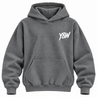 Sweat à capuche Young & Winner 2026 gris clair