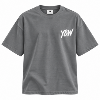 Tshirt Young & Winner 2026 gris
